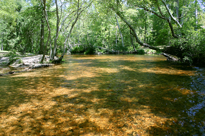 Great Egg Harbor River